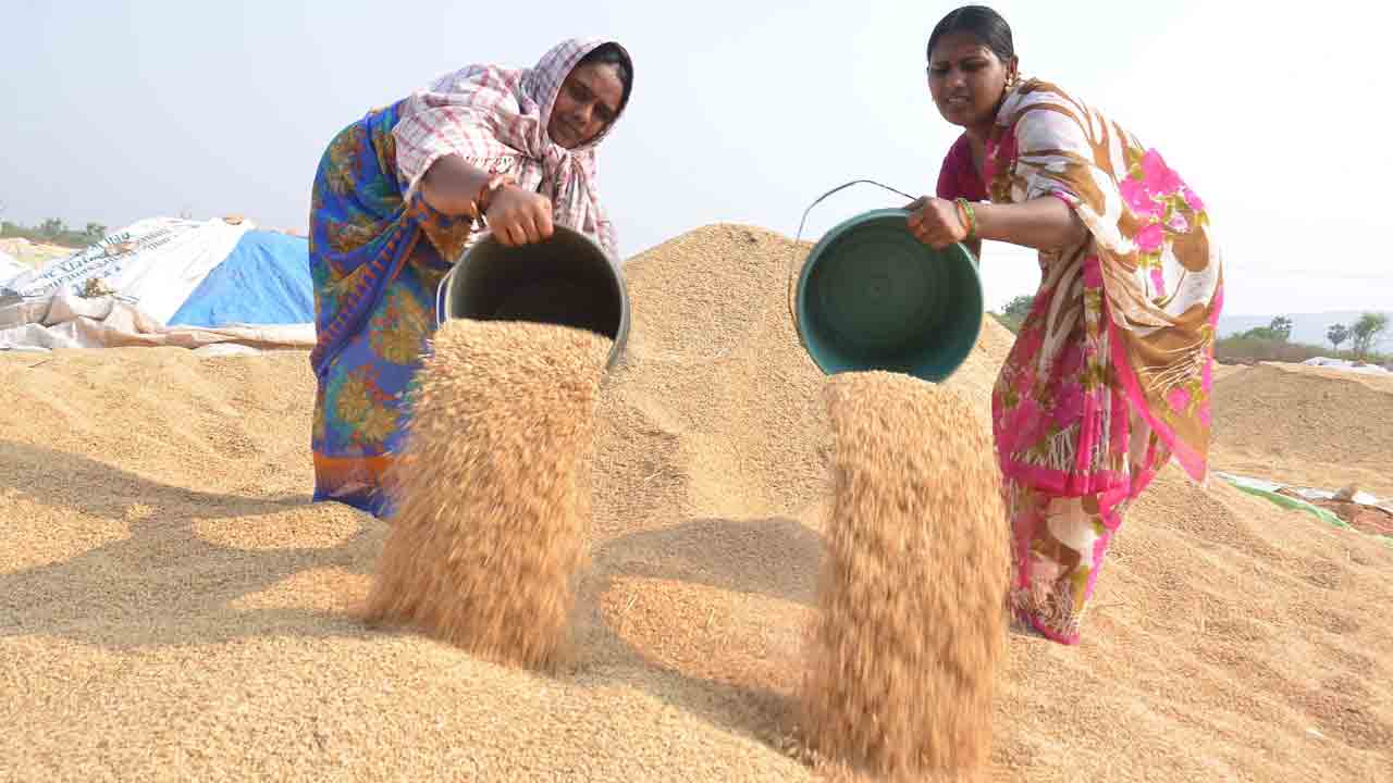 ధాన్యం కొనుగోళ్లకు సన్నద్ధం
