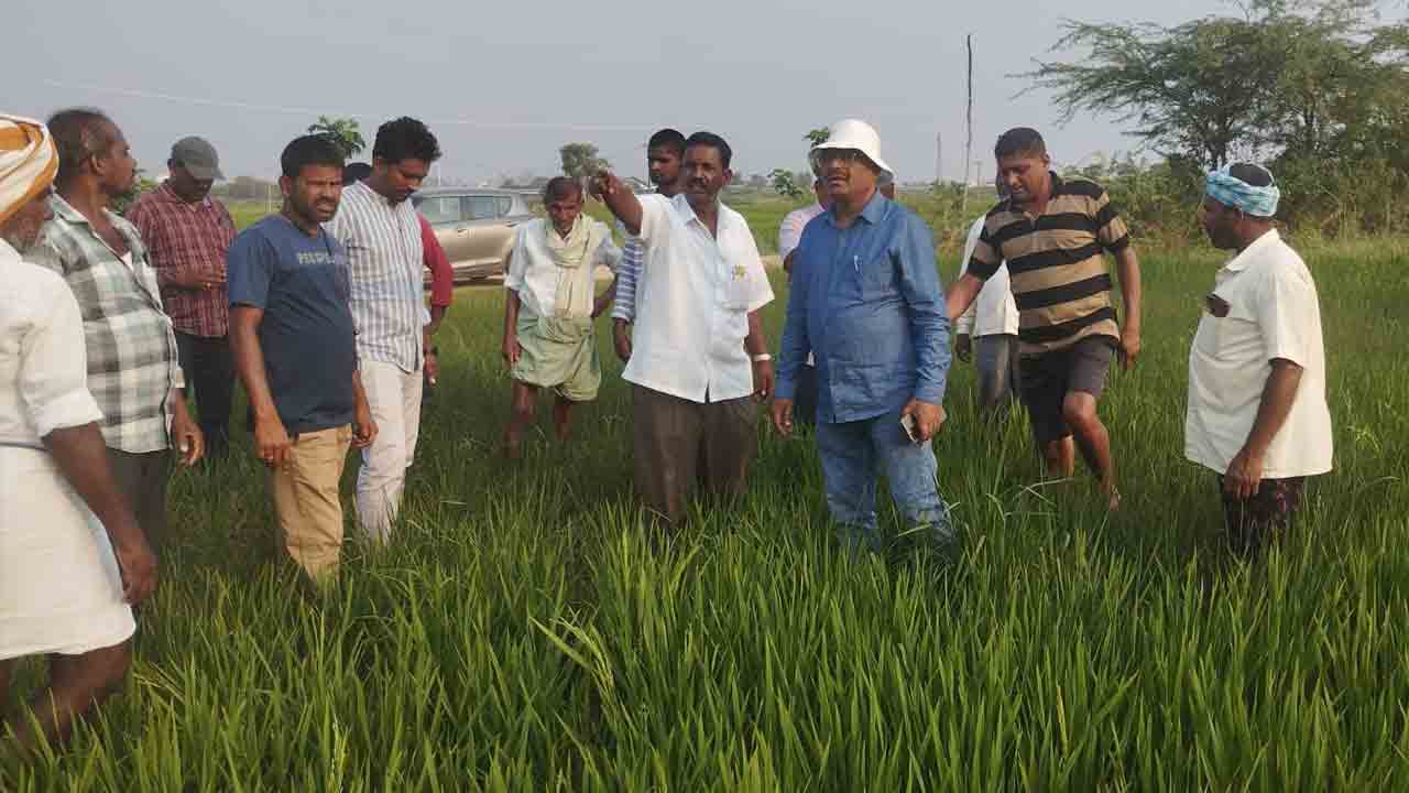 కాల్వల ద్వారా సాగు నీరందించాలి