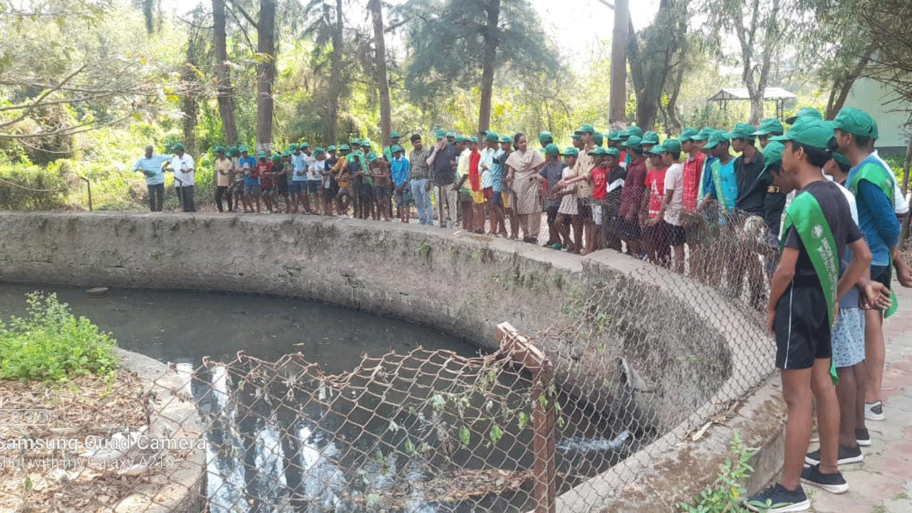 అడవుల సంరక్షణ అందరి బాధ్యత