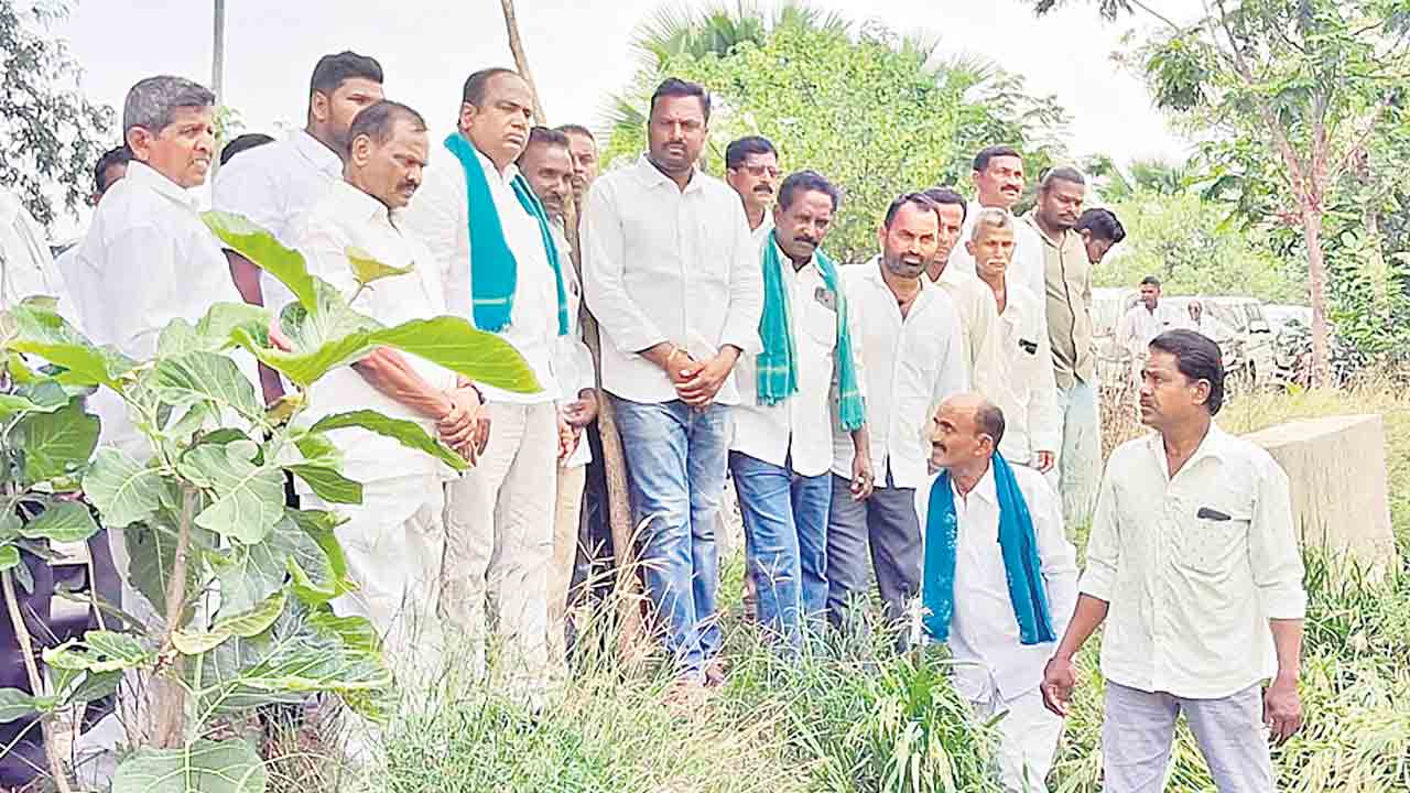 పంటలను పరిశీలించిన ఎమ్మెల్యే
