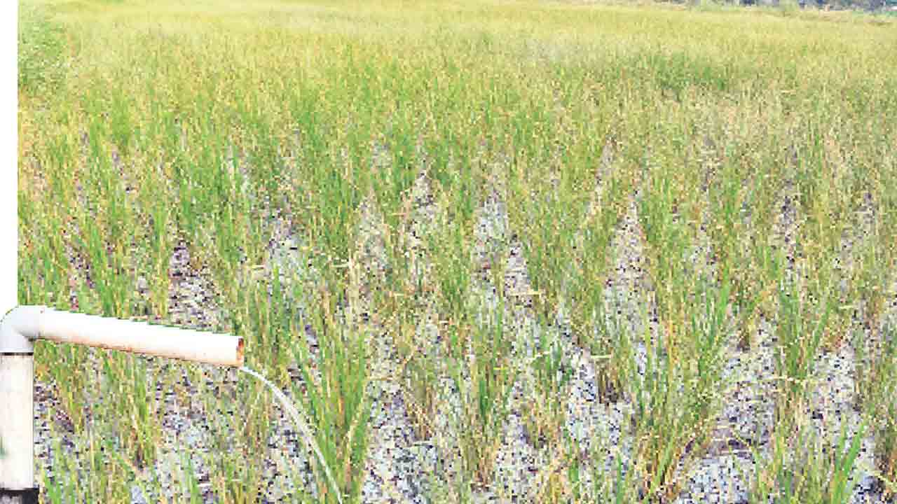 బోరుమంటున్నారు..