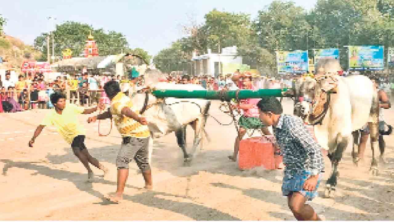 ఉత్సాహంగా బండలాగుడు పోటీలు