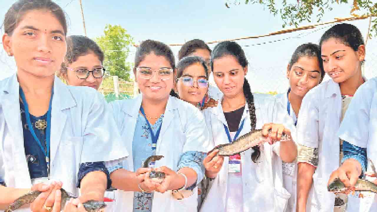 చేపల పెంపకంతో అధిక లాభాలు