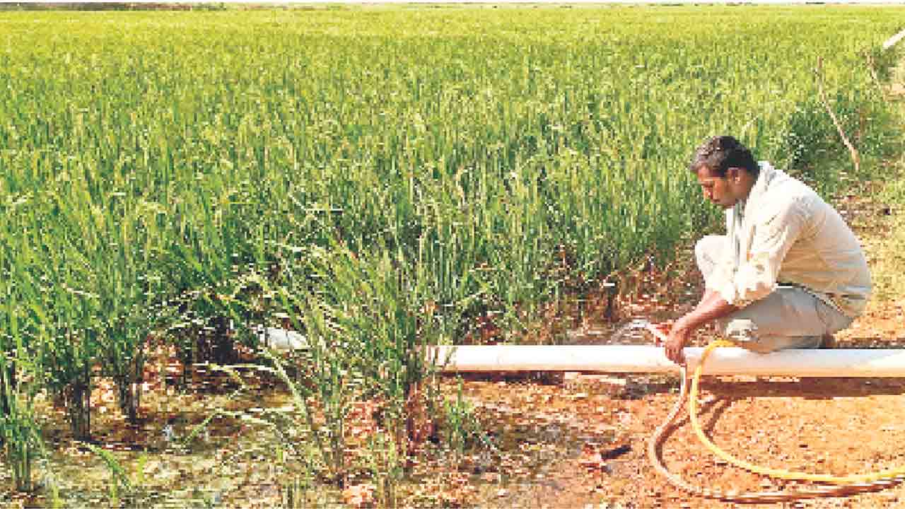 అడుగంటిన జలం.. ఎండుతున్న పొలం