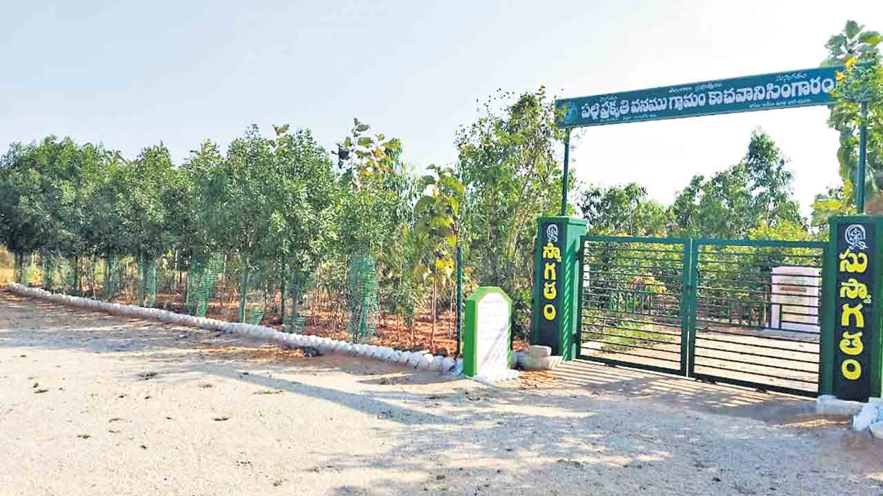 Haritha Haram | హరిత లక్ష్యం 63లక్షలు.. ఆదేశించిన మేడ్చల్‌ కలెక్టర్‌ గౌతమ్‌