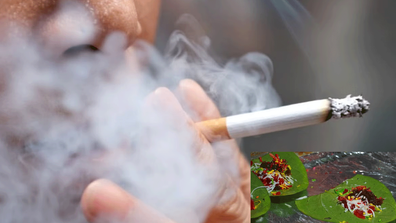 Tobacco | దేశంలో పాన్‌, పొగాకుపై పెరిగిన వ్యయం.. తమ సంపాదనలో పెద్దమొత్తంలో ఖర్చుచేస్తున్న ప్రజలు