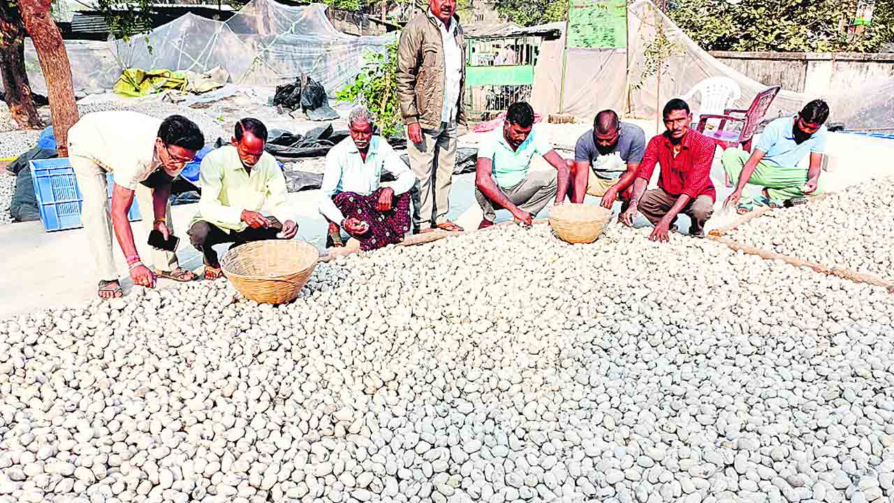 ధర తగ్గినా.. పైకం చేతికిరాలే..!