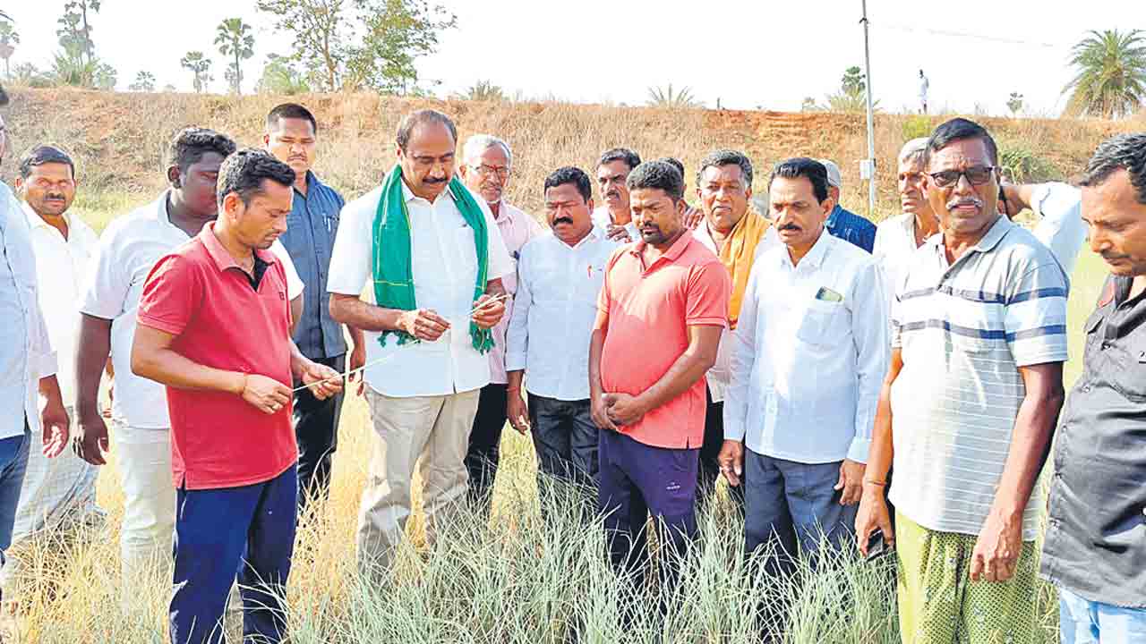 కాళేశ్వరంతోనే సస్యశ్యామలం