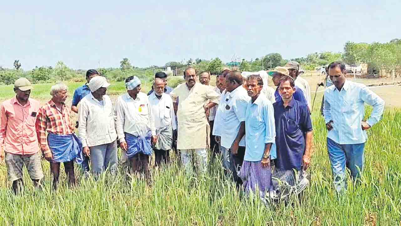 రైతన్నను కాటేస్తున్న కాంగ్రెస్ సర్కార్
