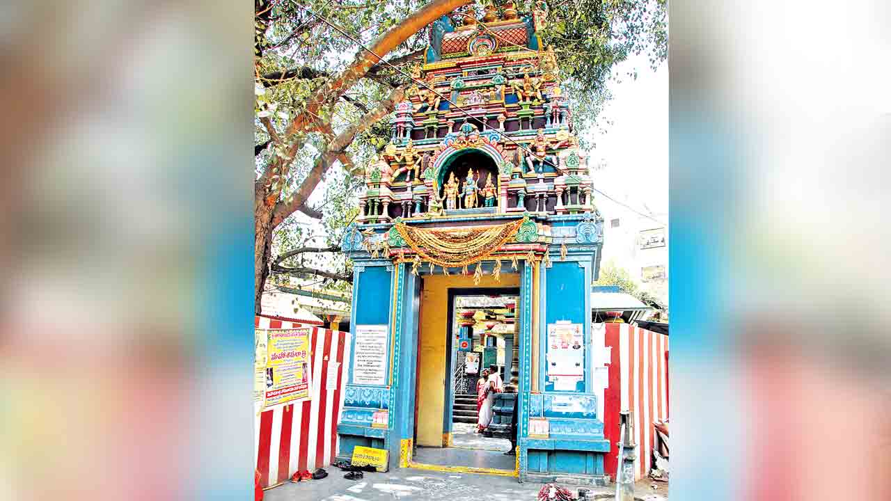 మహా శివరాత్రికి సర్వం సిద్ధం