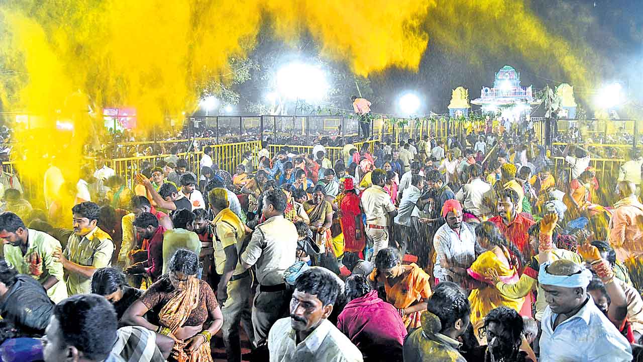 పట్నం  పరవశం