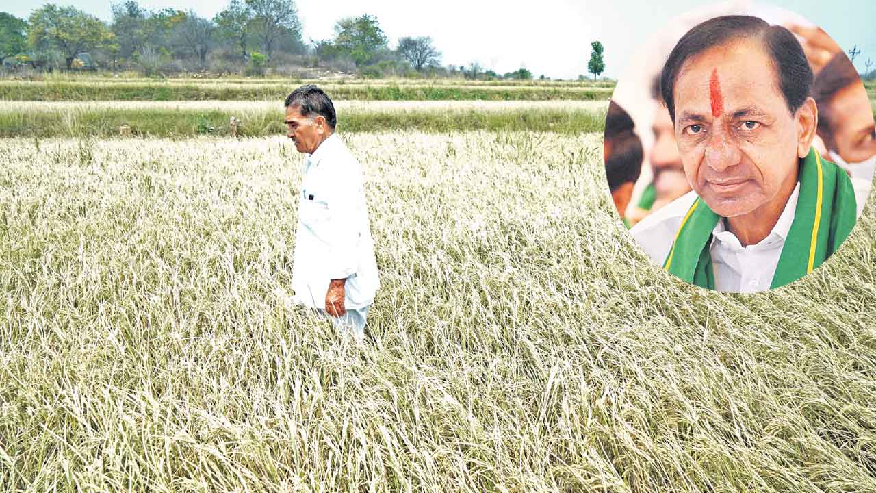 KCR | కరువు రైతుకు బాసటగా.. రేపు జిల్లాల పర్యటనకు కేసీఆర్‌