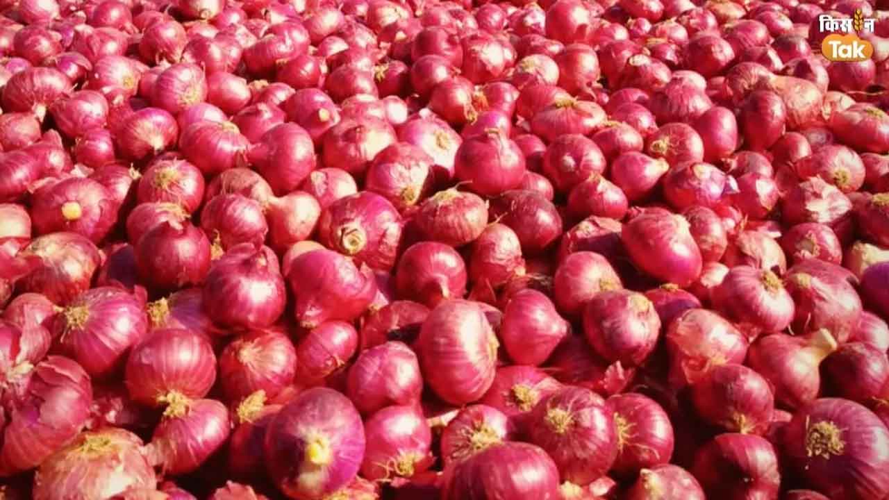 ఉల్లి ఎగుమతులపై నిషేధం పొడిగింపు