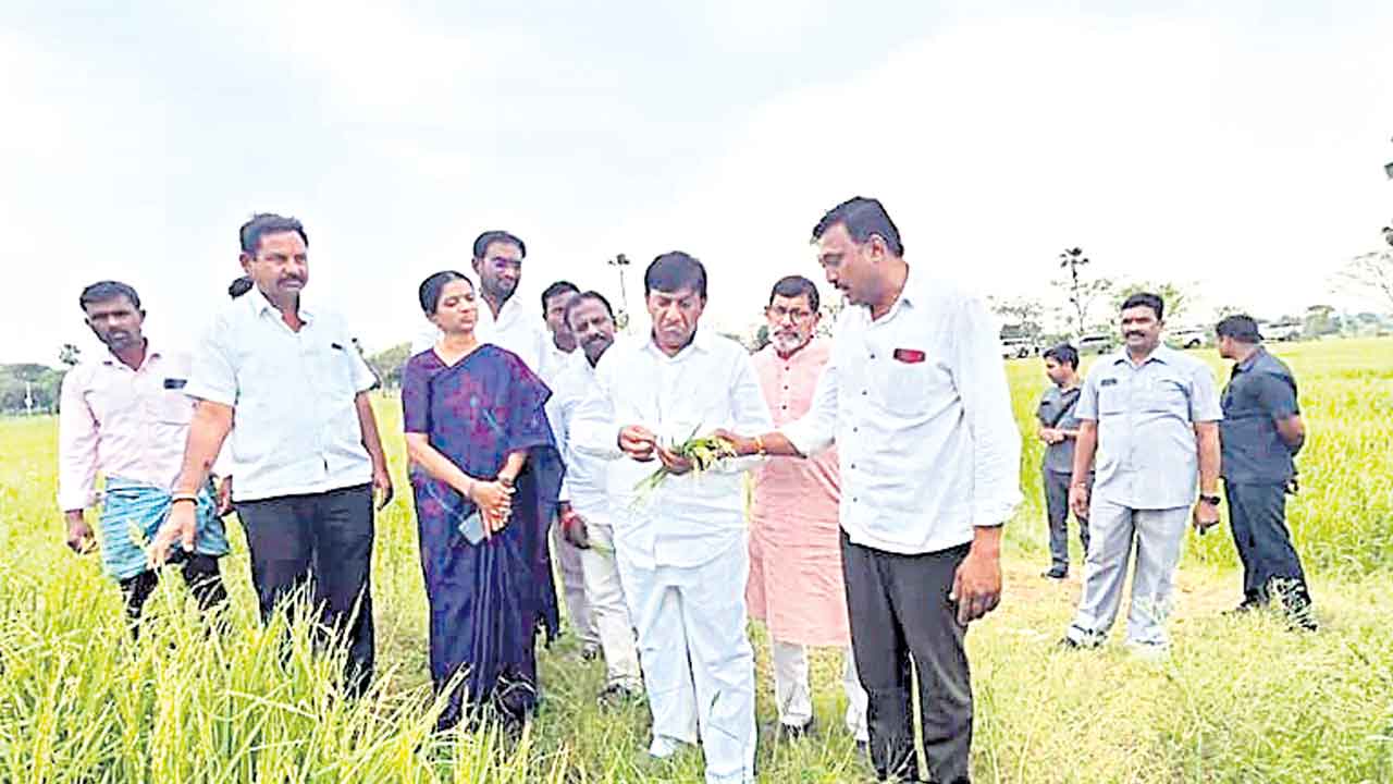 అకాల వర్షాలతో నష్టపోయిన రైతులను ఆదుకోవాలి