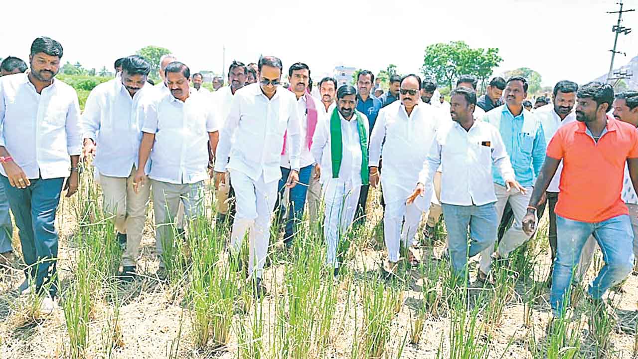 పంట నష్టం పట్టదా?