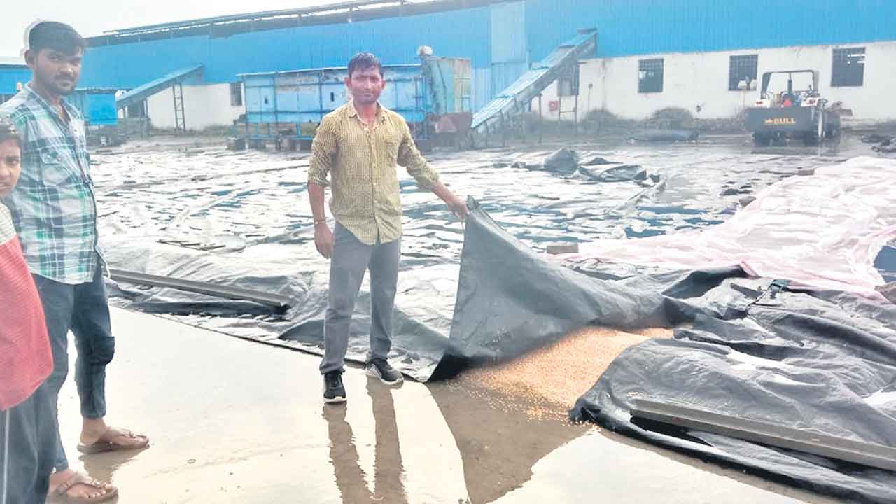 అకాల నష్టం