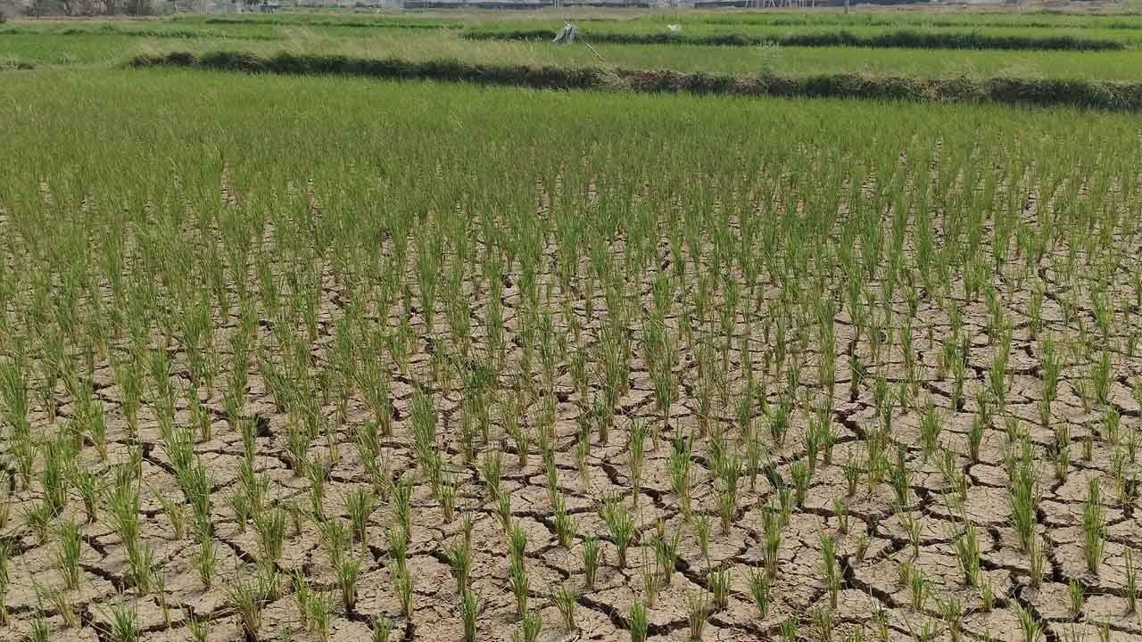 కానరాని నీళ్లు రైతన్న కన్నీళ్లు