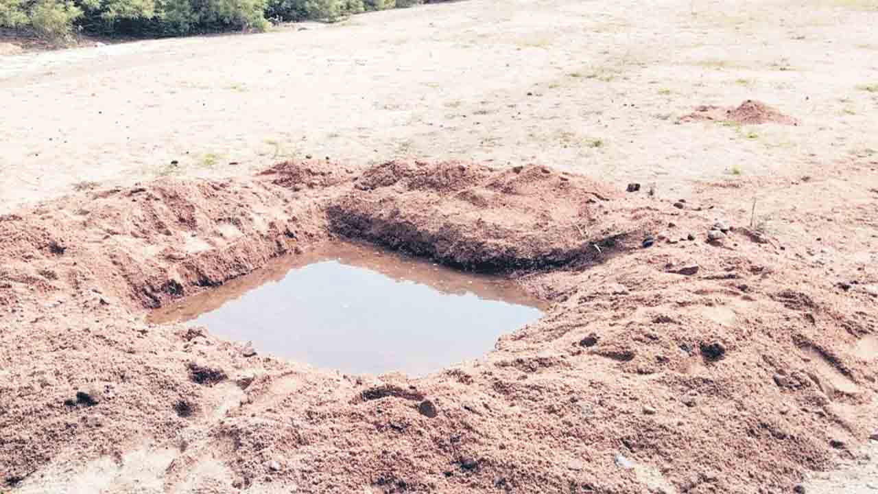 వన్యప్రాణుల దప్పిక తీరేలా…