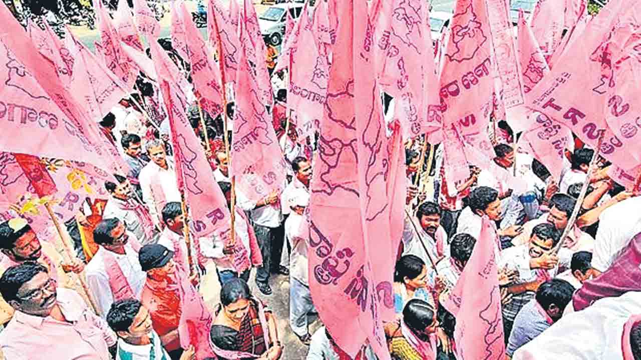 ప్రచార జోరు..