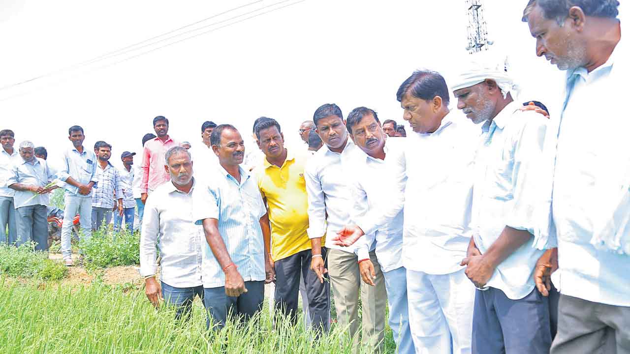 అన్నదాతలను ఆదుకోవాలి