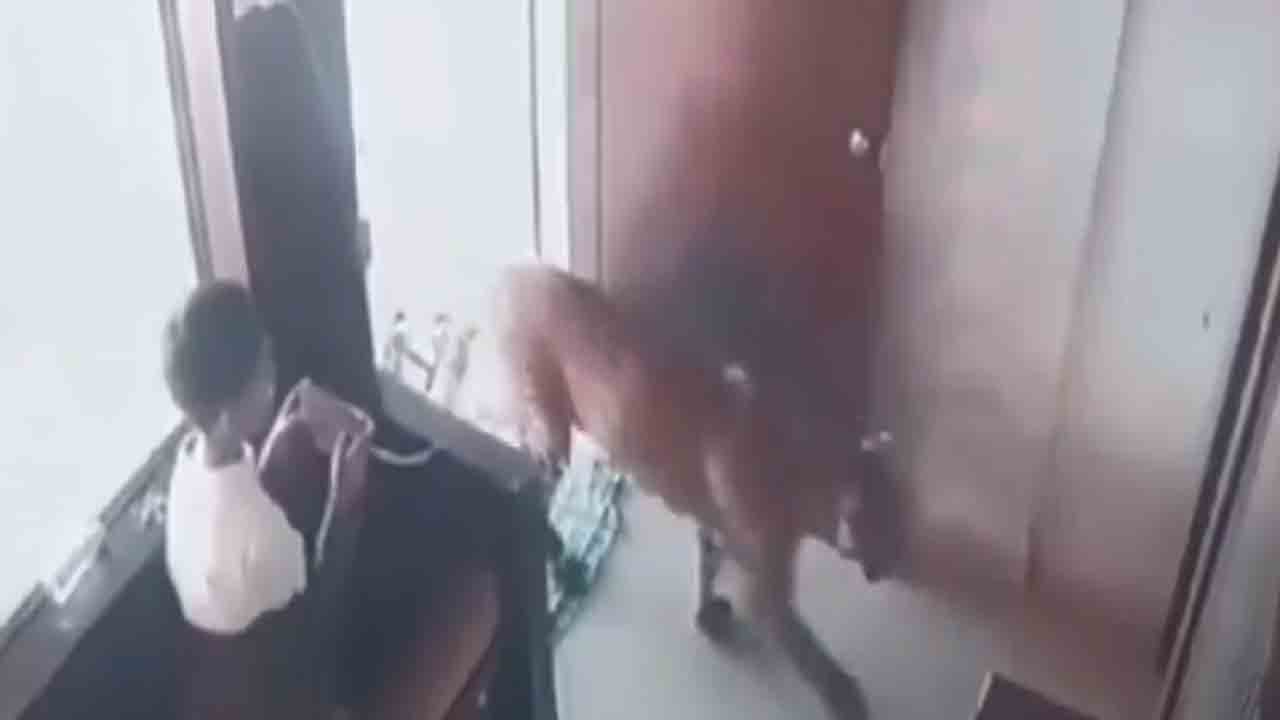 Watch: మొబైల్‌లో గేమ్‌ ఆడుతున్న బాలుడు.. ఆ గదిలోకి ప్రవేశించిన చిరుత, తర్వాత ఏం జరిగిందంటే?