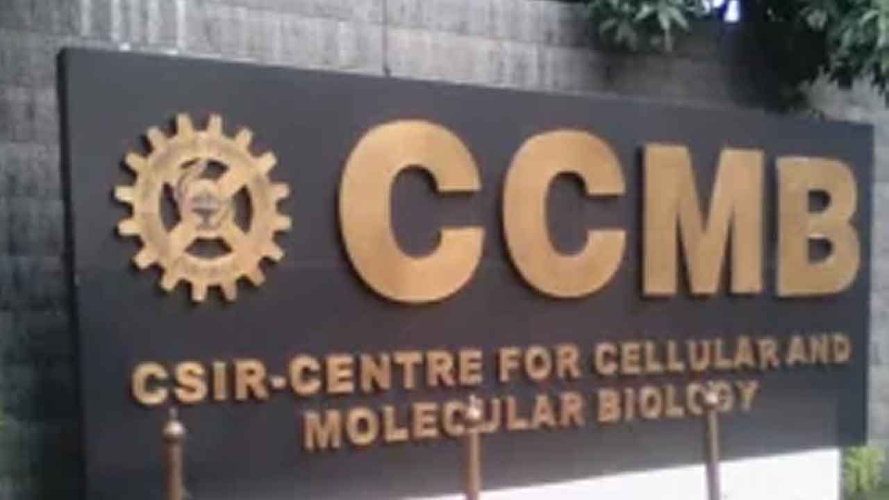 మురుగు నీటిపై నిరంతర నిఘా