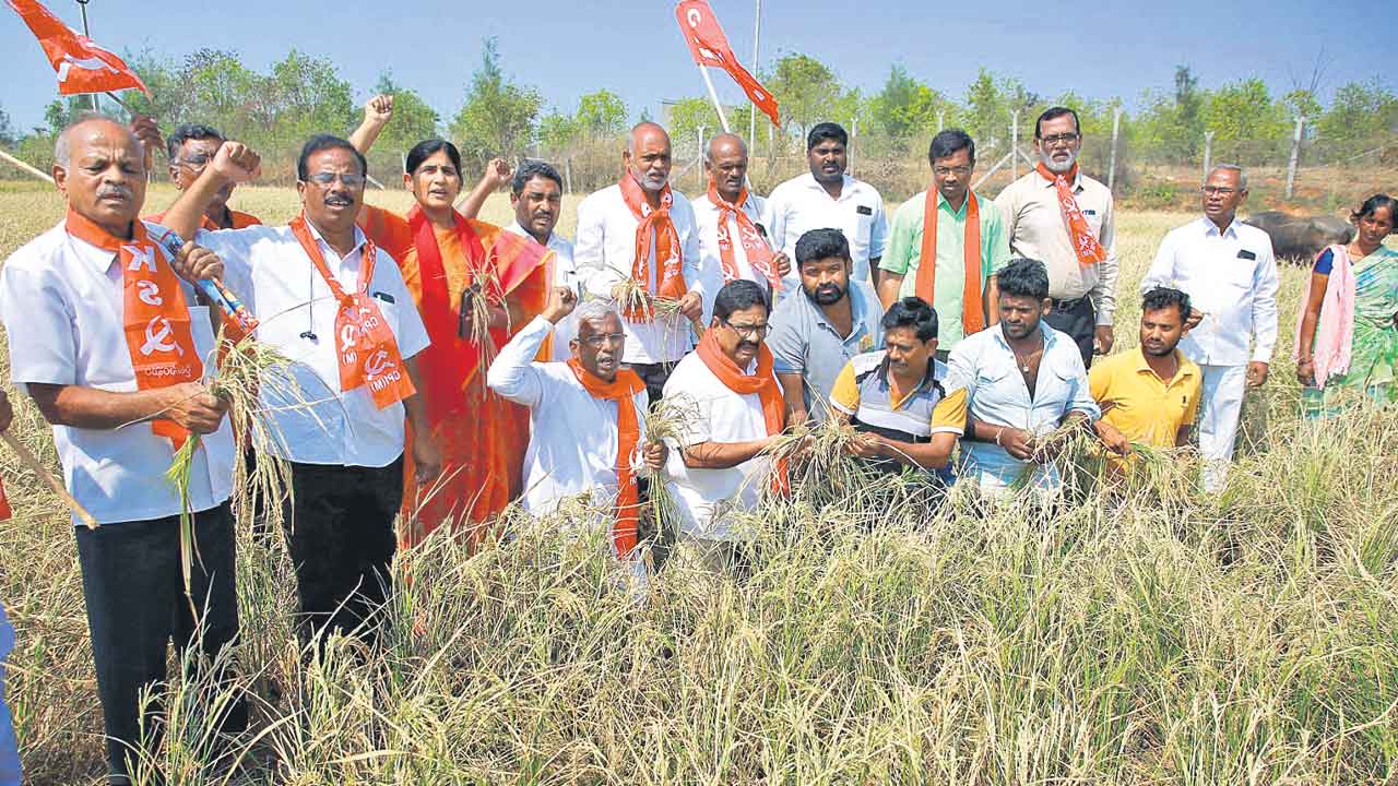 కరువు నష్టం అంచనా వేయాలి