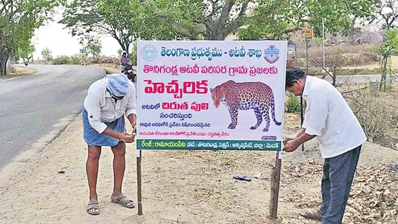 చిరుత కలకలం