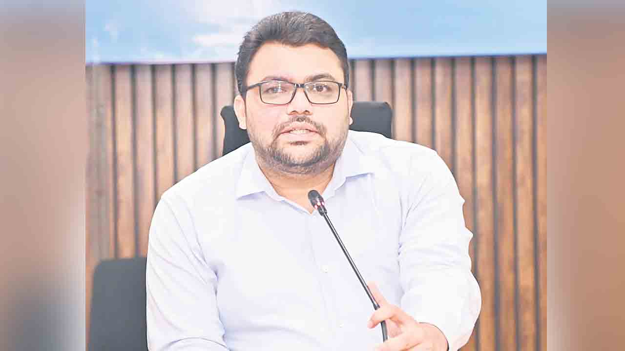 మొక్కలను సిద్ధం చేయాలి