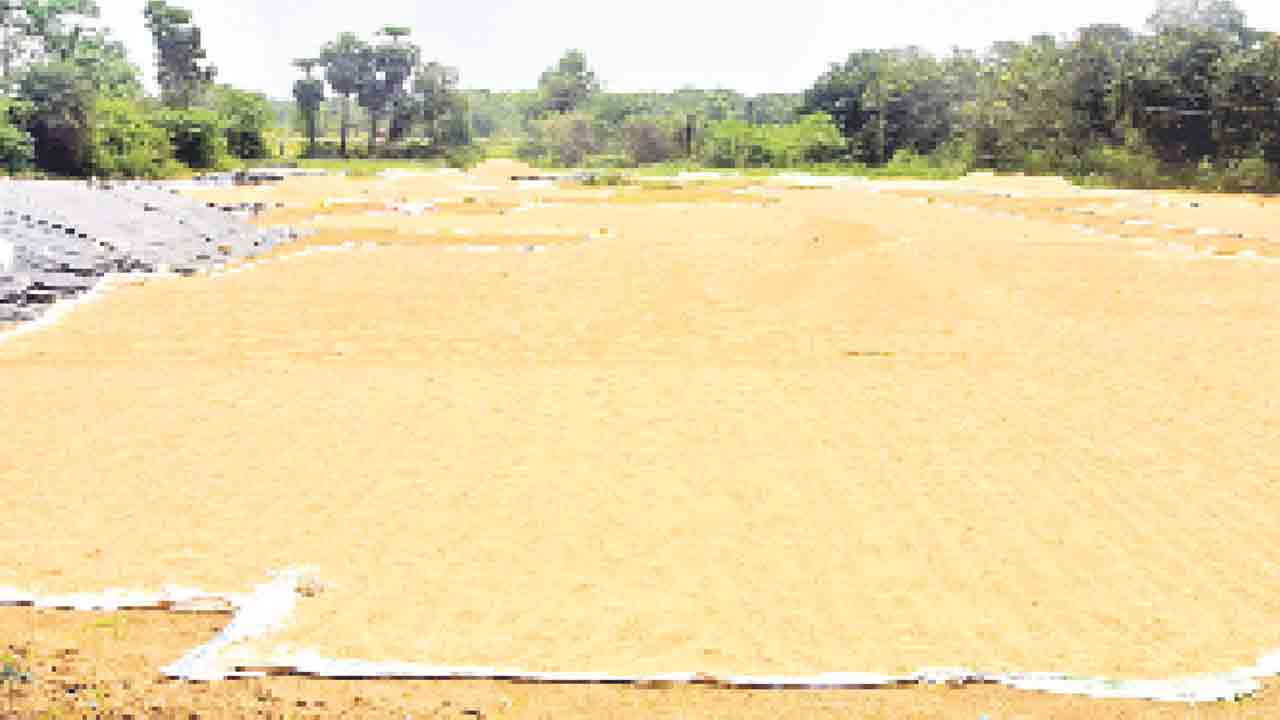 టార్గెట్‌ @1.20 లక్షల మెట్రిక్‌ టన్నులు