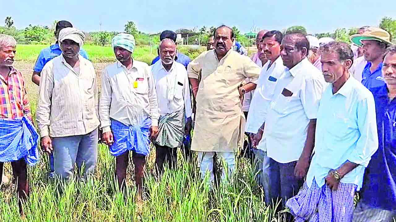 సాగునీరివ్వడంలో కాంగ్రెస్‌ విఫలం