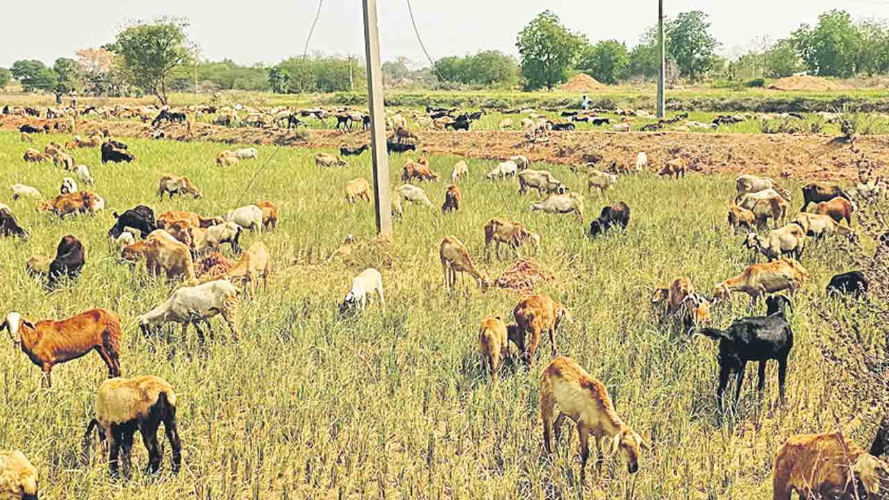 రైతన్నల.. జలఘోష