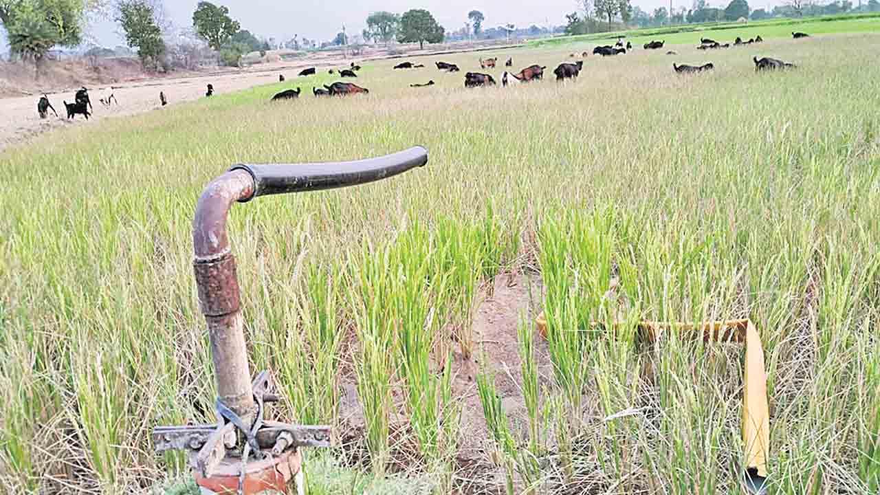 కాంగ్రెస్‌ కరువు ఛాయలు..
