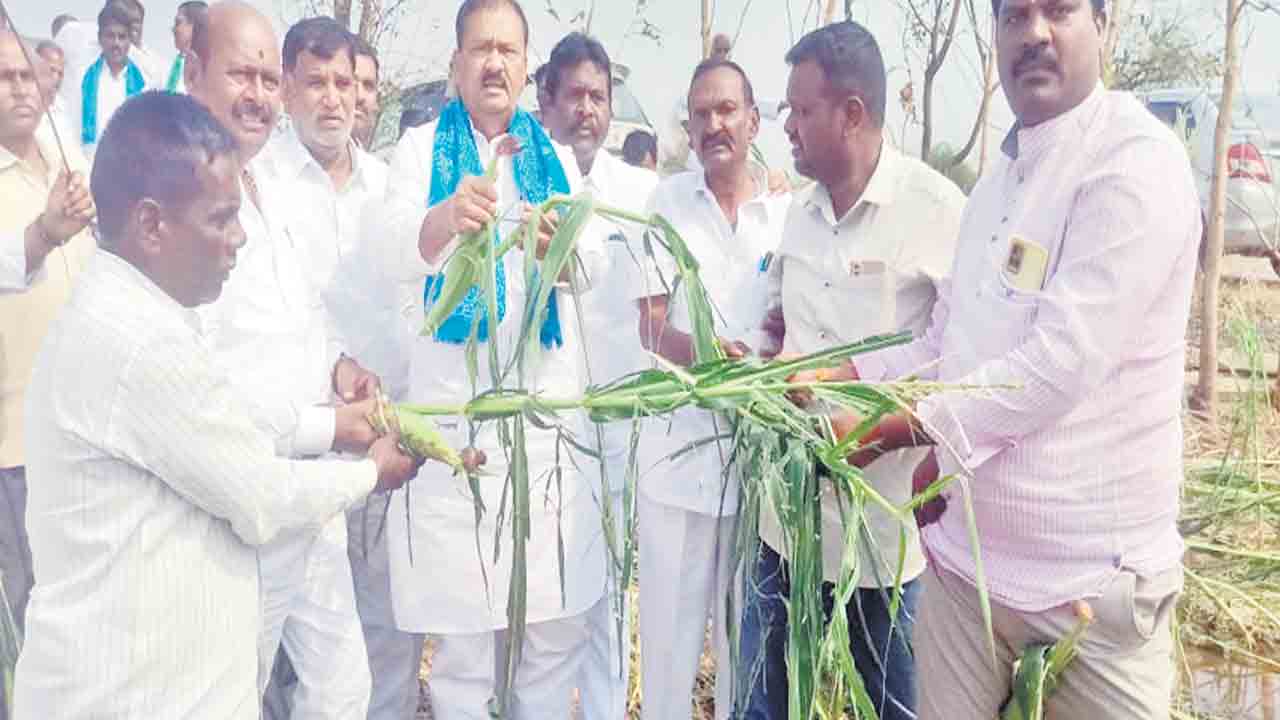 అకాల వర్షం.. అపార నష్టం