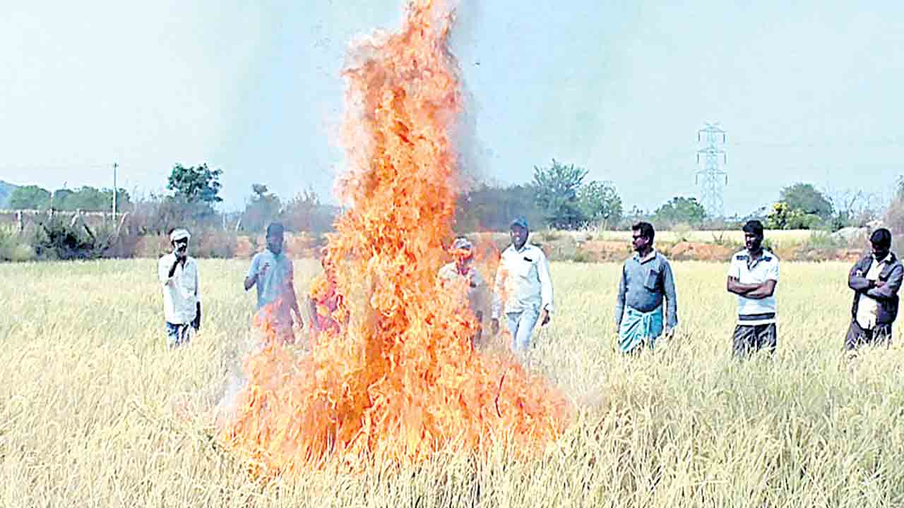 కర్షకుడి కడుపు ‘మంట’