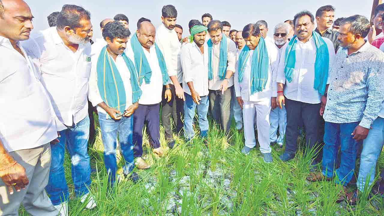 కాంగ్రెస్‌ అచ్చింది.. కరువు తెచ్చింది