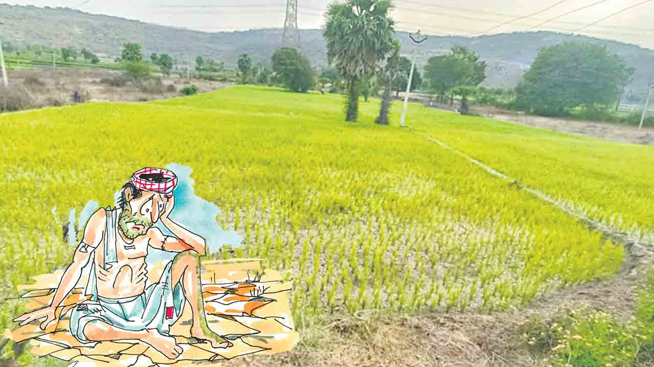 రైతన్నకు కన్నీళ్లే..