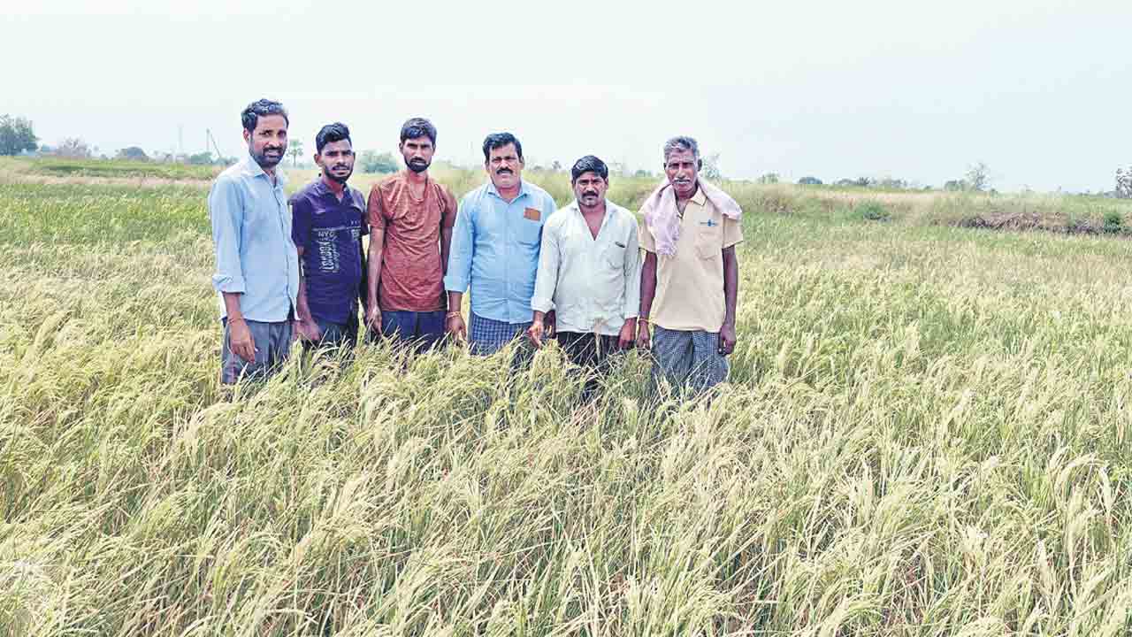 అన్నదాతల అరిగోస