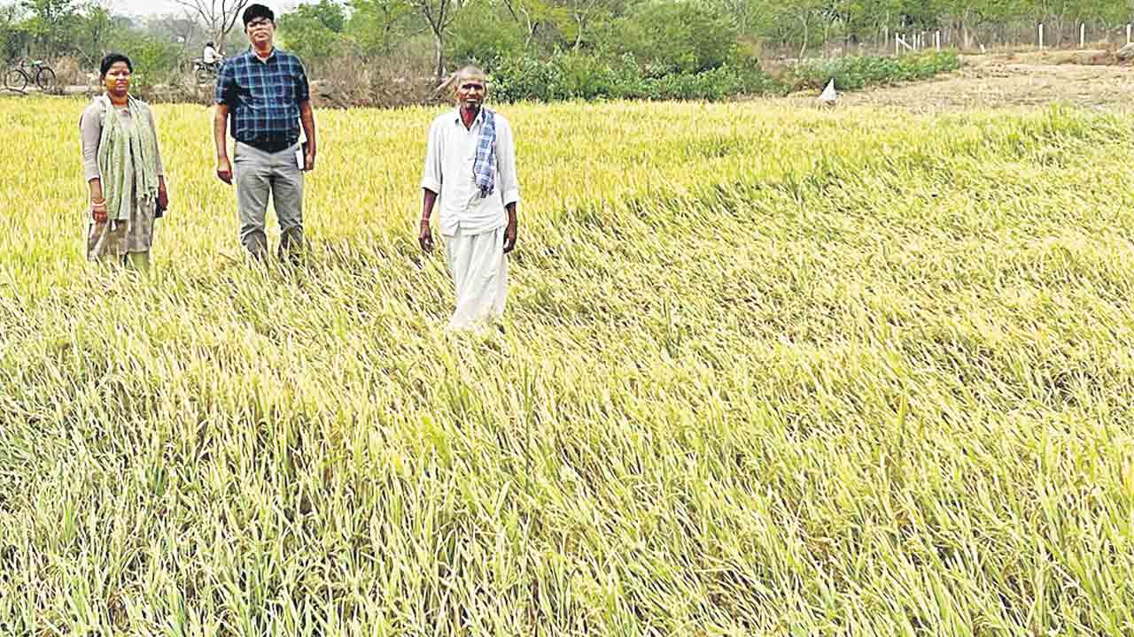అన్నదాత ఆగమాగం