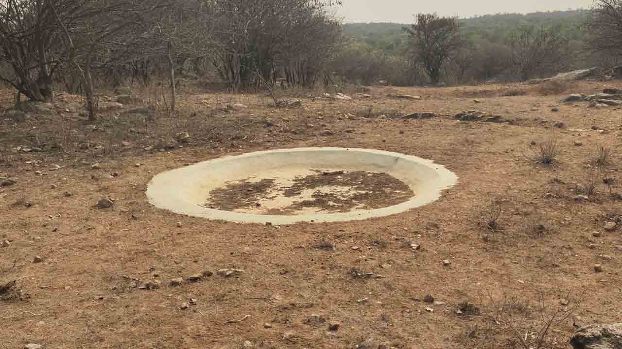 దేవరకద్ర మార్కెట్‌కు పోటెత్తిన ఉల్లి