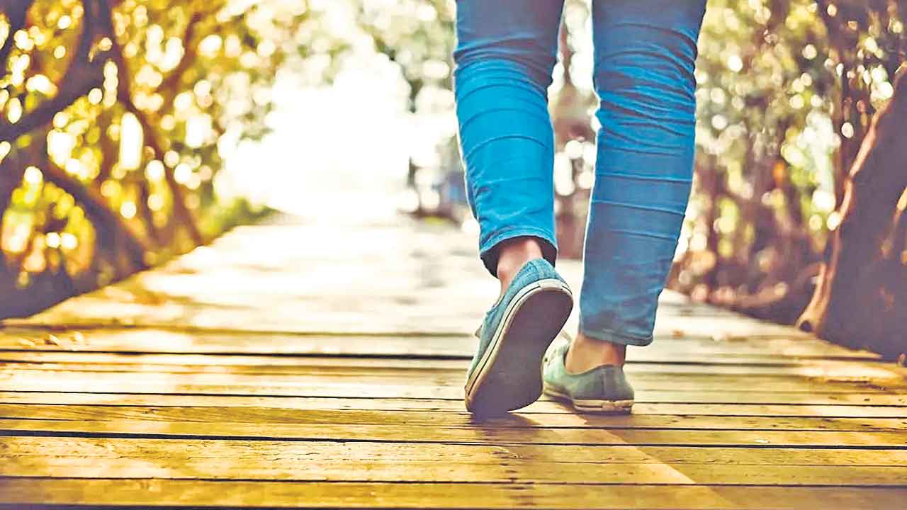 Walking | వాకింగ్‌ చేయడం ఆరోగ్యానికి మంచిది.. అయితే రోజుకు ఎన్ని అడుగులు నడవాలంటే?