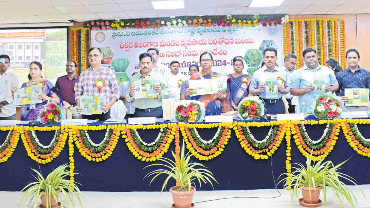 మేలైనరకాలను ఎంచుకోవాలి