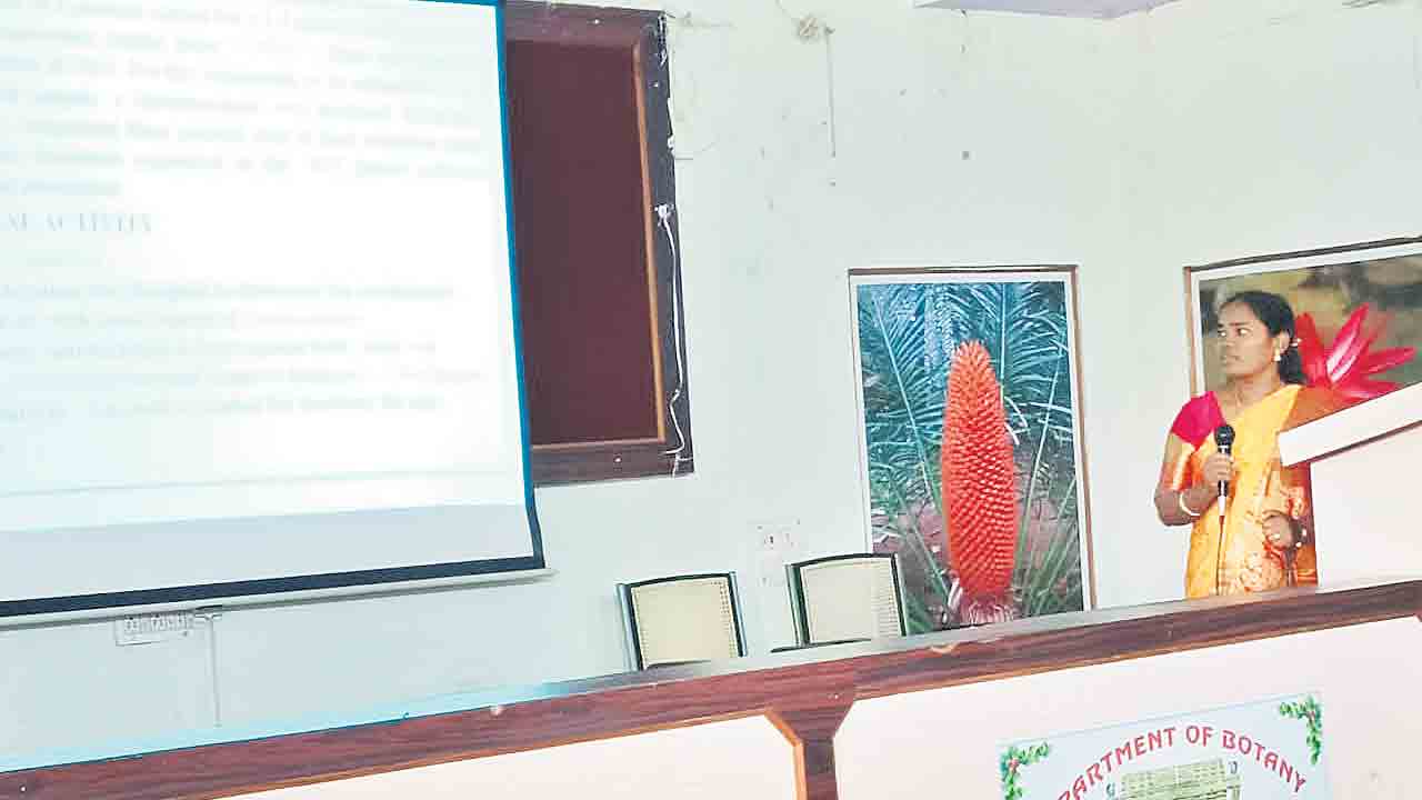 యాట్ల స్రవంతికి డాక్టరేట్‌