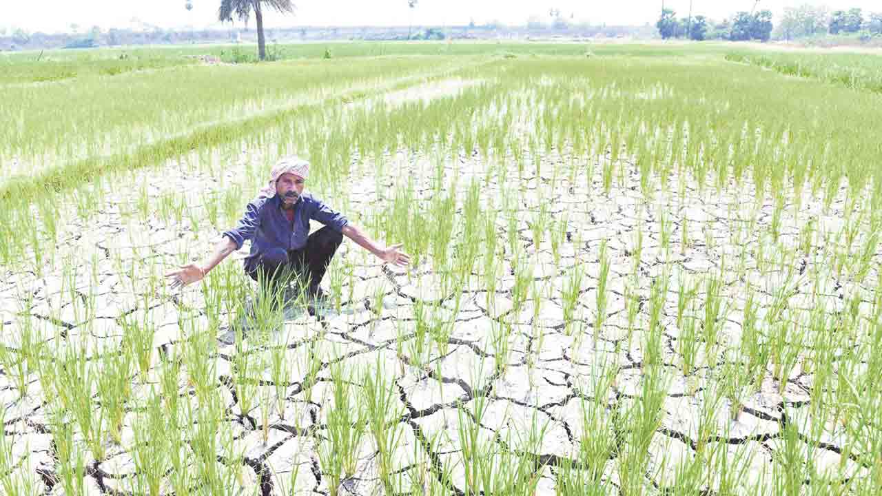 పాతాళానికి జలం
