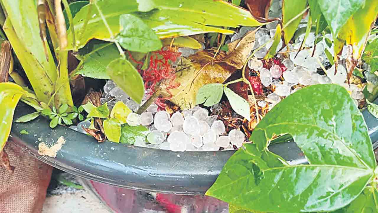 కడగండ్లు మిగిల్చిన వడగండ్లు