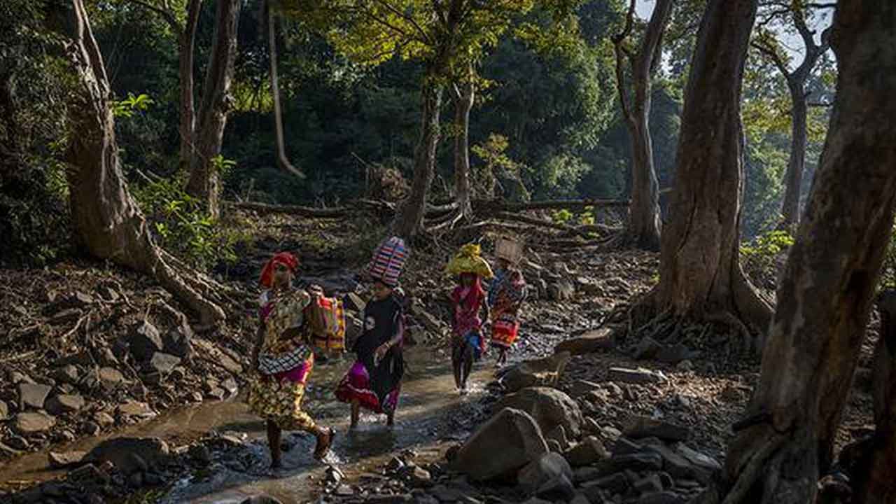 అటవీ హక్కుదారుల అభివృద్ధిని అడ్డుకోవద్దు