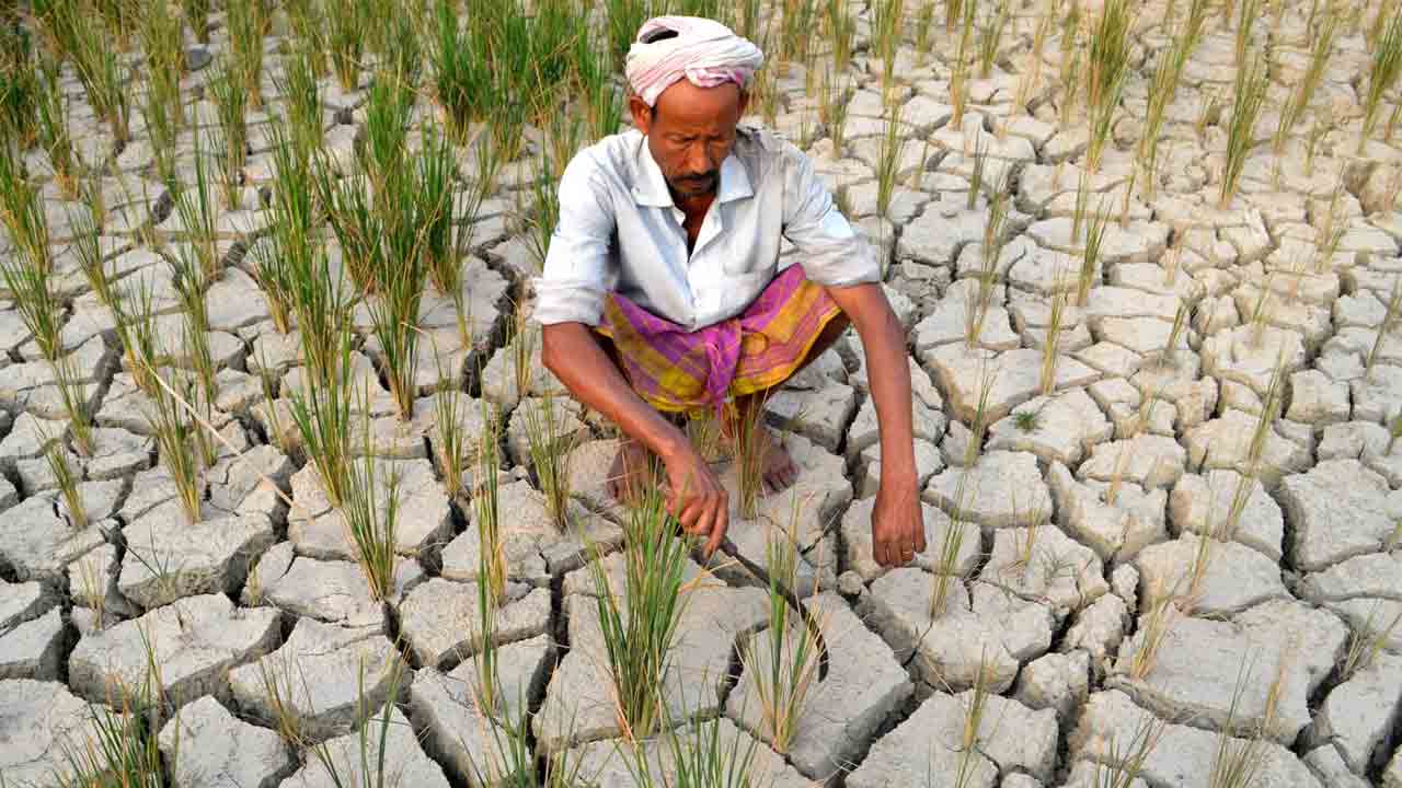 పంట పొలాలు పడావుగా..
