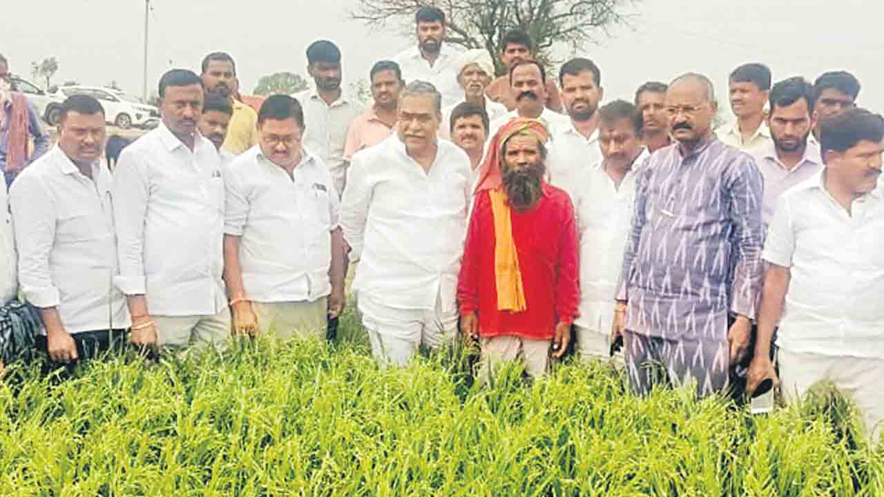 రైతులకు పంట నష్టపరిహారం చెల్లించాలి