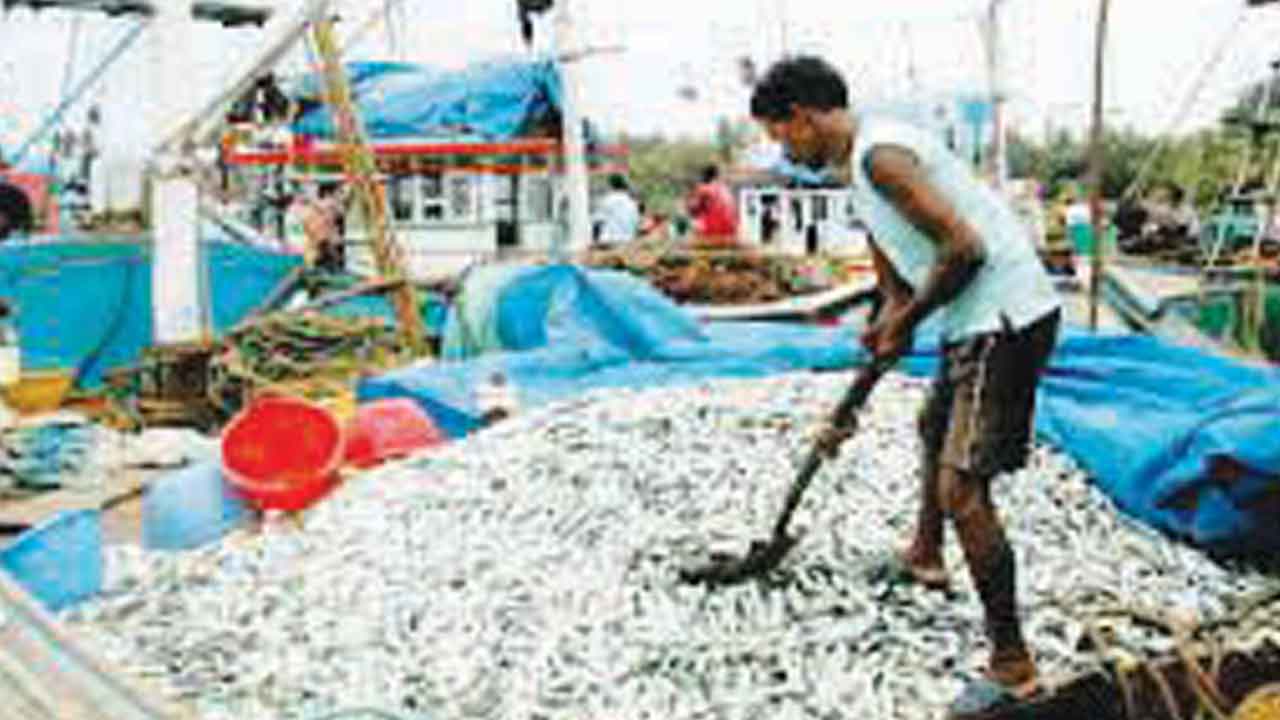 ఫిషరీస్‌ చైర్మన్‌ పదవి ముదిరాజ్‌లకే కేటాయించాలి