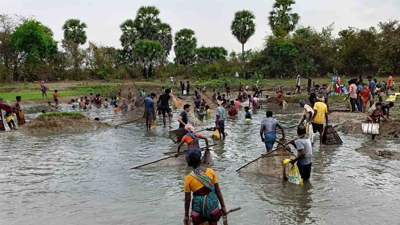 మండే ఎండ.. చేపల వేట